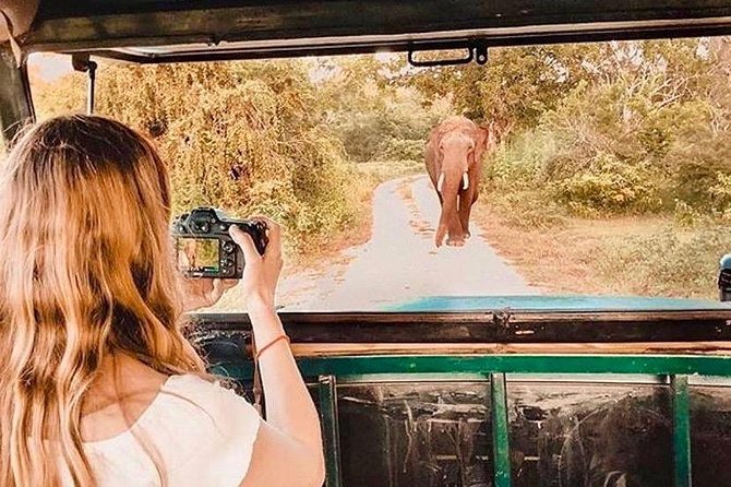 08 - Day Classic Tour with English speaking drive and Private luxury vehicles - Day 1: Colombo airport to Sigiriya and Habarana