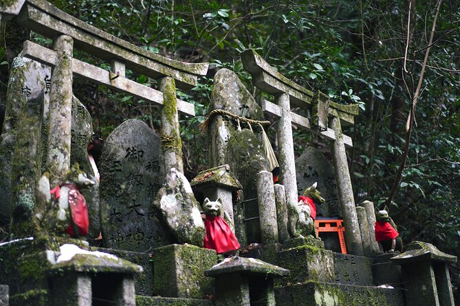 1-Day Kyoto and Nara Highlights Day Trip with a Private Car - Nara Park and the friendly deer