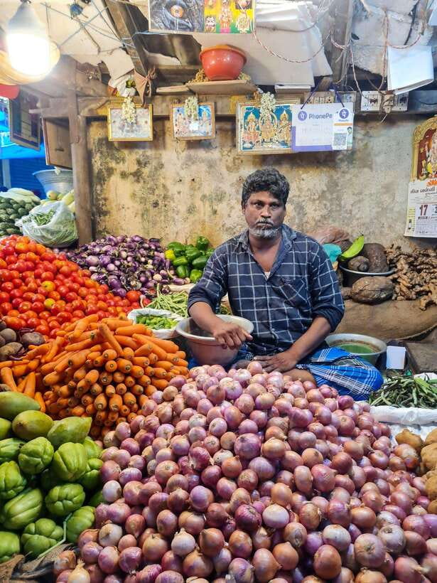 10 Days Private Car and Driver Tour of Tamilnadu and Kerala - Why this route works for a first South India trip