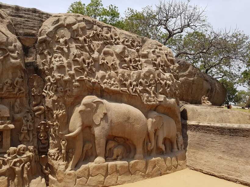 10 Days Private Car and Driver Tour of Tamilnadu and Kerala - Kerala begins with greenery, a garden visit, and wildlife
