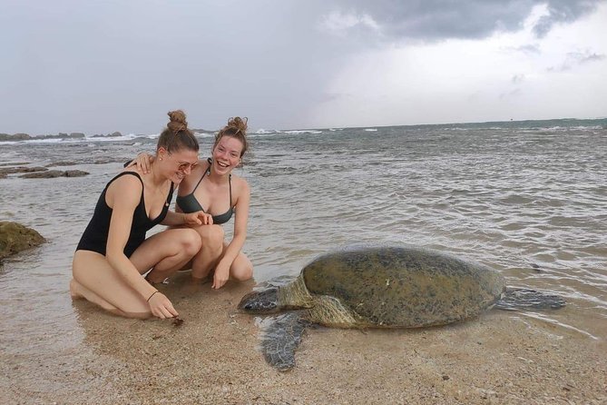 14 Days Tour in Sri Lanka (Hotels with Breakfast & Luxury Car) - Days 11 and 12: gardens, Dambulla, Sigiriya, and Polonnaruwa