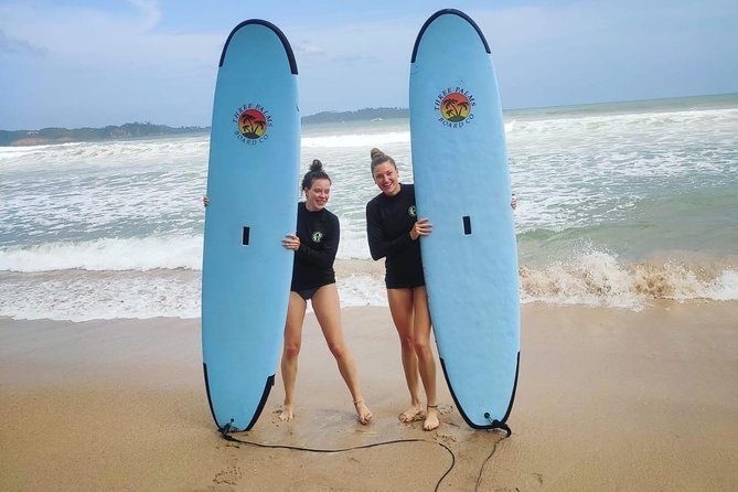 14 Days Tour in Sri Lanka (Hotels with Breakfast & Luxury Car) - Days 1 and 2: Negombo, lagoons, mangroves, and turtles