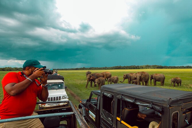 15-Day Tour in Sri Lanka with Private Driver - Yala adds wildlife, waterfalls, and an important choice