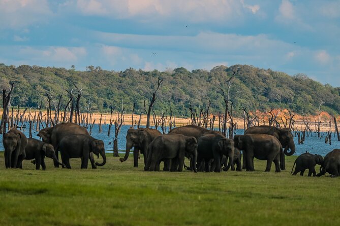 15-Day Tour in Sri Lanka with Private Driver - Mirissa gives you two slower coastal days