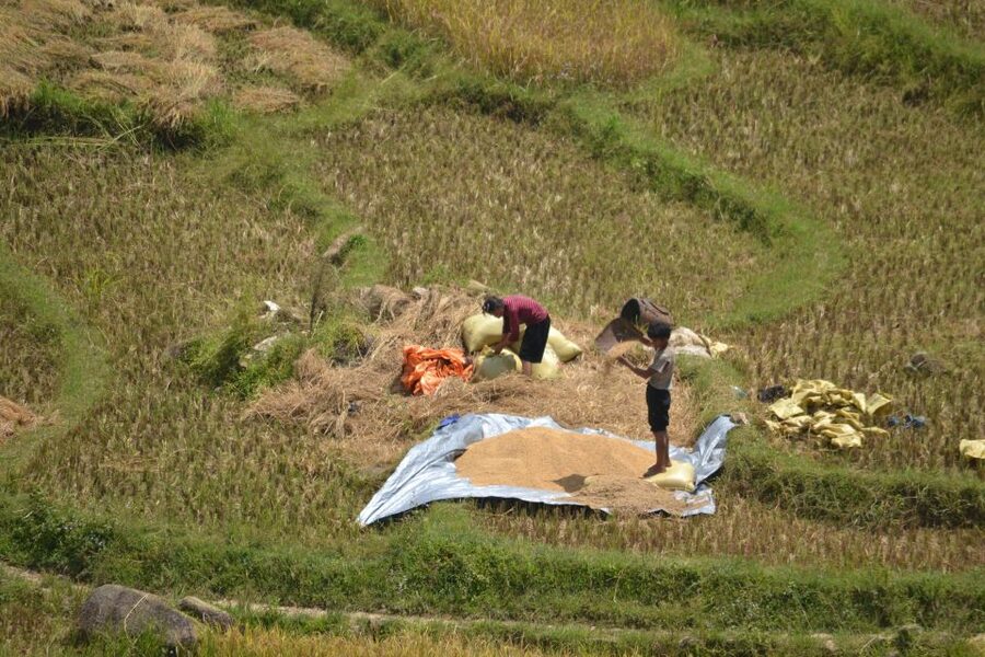 2 Day-2 Night Sapa Trekking: Overnight Train &Limousine Bus - Key things to know before booking