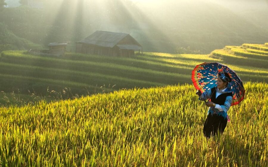 2 Day-2 Night Sapa Trekking: Overnight Train &Limousine Bus - Ma Tra and Ta Phin, a quieter morning outing