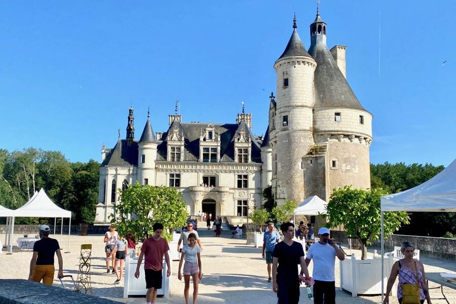 2-day Private Top 6 Loire Valley Castles from Paris Mercedes - Chaumont and the Catherine de Medici connection