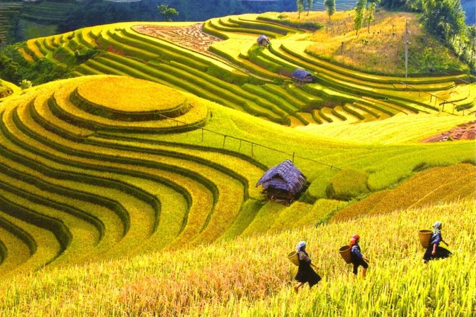 2 Days 1 night Sapa Tour from Hanoi by Limousine/Sleeper bus - The five-hour ride from Hanoi to Sapa
