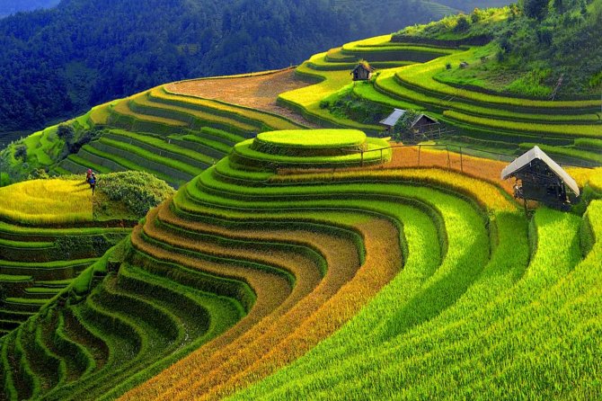 2 Days 1 night Sapa Tour from Hanoi by Limousine/Sleeper bus - A one-night stay in Sapa Town