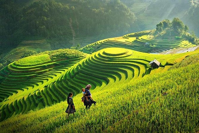 2 Days 1 night Sapa Tour from Hanoi by Limousine/Sleeper bus - Y Linh Ho, Lao Chai, and Ta Van