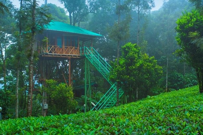 2 Nights Munnar Treehouse Escape with Private Car- Iris Holidays - Why the treehouse makes this Munnar trip different