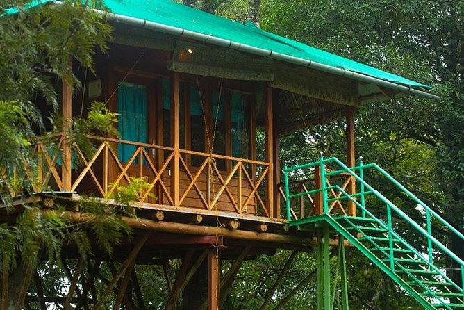 2 Nights Munnar Treehouse Escape with Private Car- Iris Holidays - Eravikulam National Park and the Nilgiri tahr