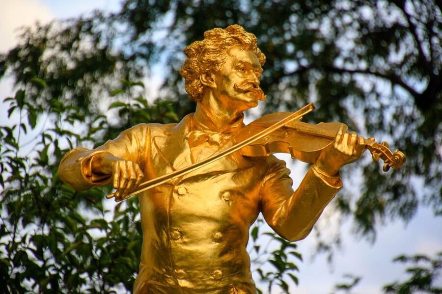 3 hour private tour in Vienna by private car - Language and guide communication