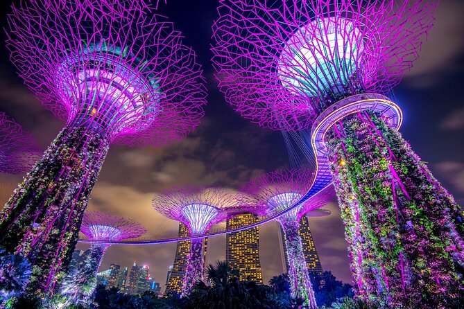 4 Hours - Singapore Tour in Private Car or Minibus with Driver - Key points to know before booking