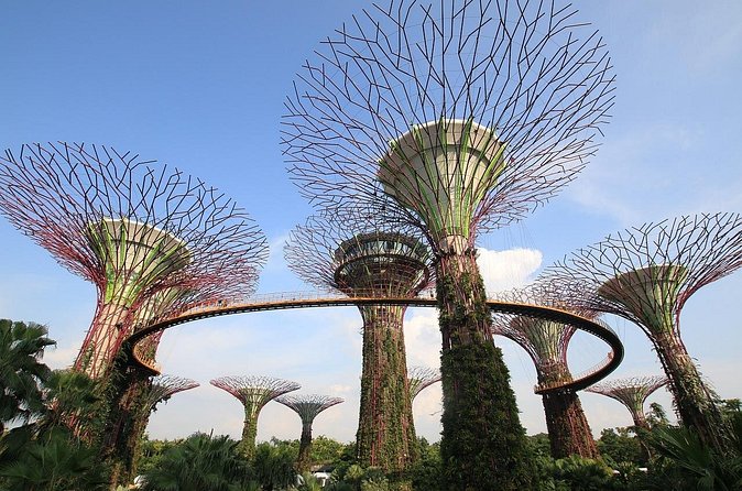 4 Hours - Singapore Tour in Private Car or Minibus with Driver - Comfort, pickup, and the practical details