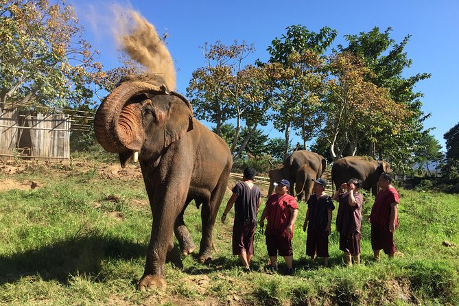 5 Day Tuk Tuk Adventure in Chiang Mai - with driver - Why a tuk tuk changes the Northern Thailand experience