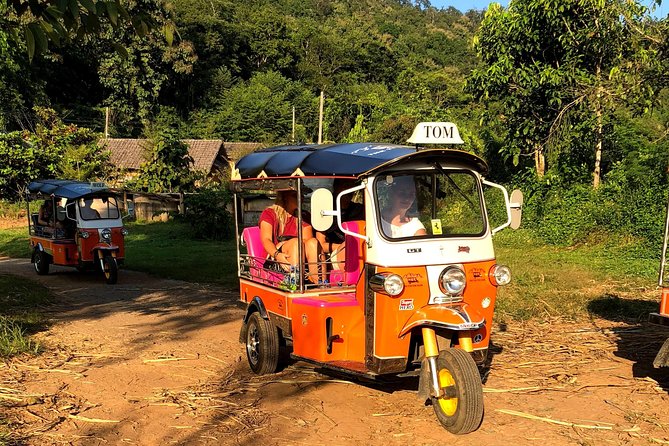 5 Day Tuk Tuk Adventure in Chiang Mai - with driver - Day four: Forest walking on Doi Inthanon