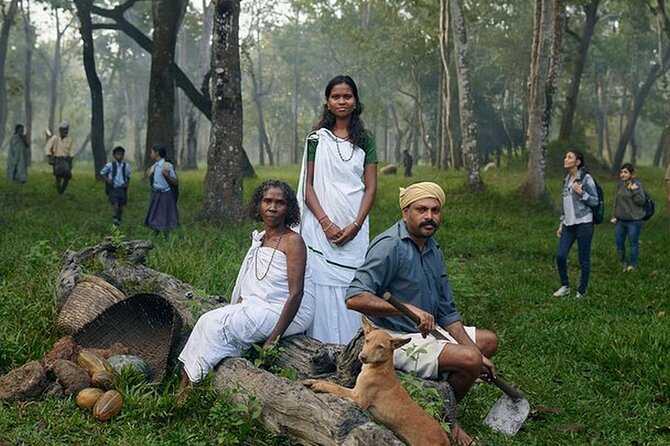 5 Days Kerala Tour with Private Car Houseboat Munnar and Thekkady - The route at a glance: hills, wildlife, and backwaters