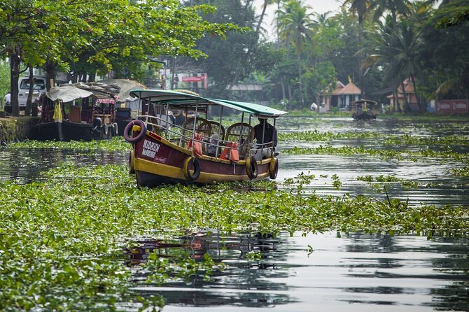 5 Days Kerala Tour with Private Car Houseboat Munnar and Thekkady - Day 1: Kochi to Munnar with Cheeyappara Waterfalls