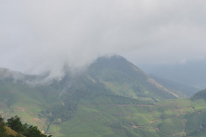 5 Days Kerala Tour with Private Car Houseboat Munnar and Thekkady - Day 3: Munnar to Thekkady and Periyar Lake