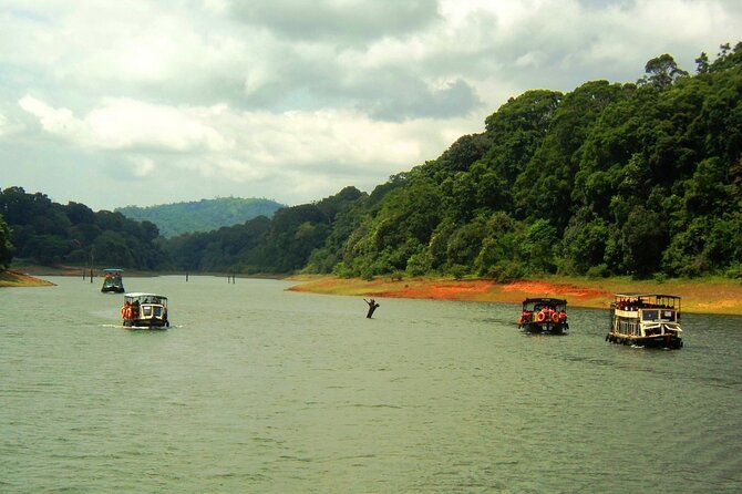 5 Days Kerala Tour with Private Car Houseboat Munnar and Thekkady - Should you book this five-day Kerala route?