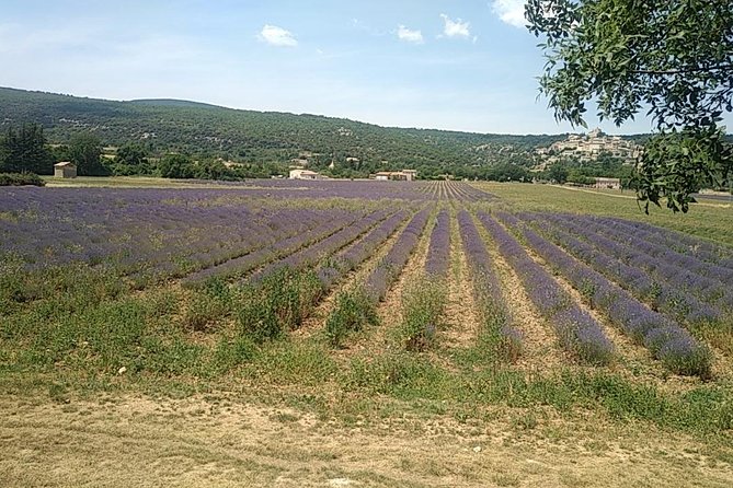 5-Hour Private Sightseeing Tour of the Provence from Marseille in Luxury Car - What kind of Provence day are you buying?