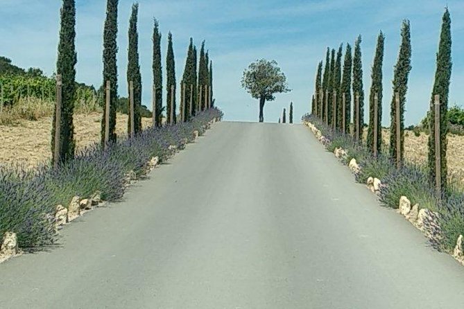 5-Hour Private Sightseeing Tour of the Provence from Marseille in Luxury Car - Cassis, seafood, and the Mediterranean coast