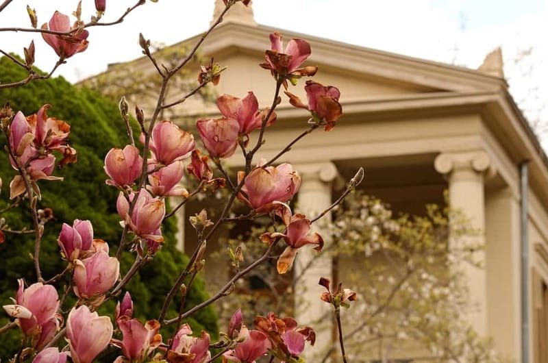 5h Potsdam private tour with Guide, Chauffeur & Photographer - One hour at Sanssouci Palace