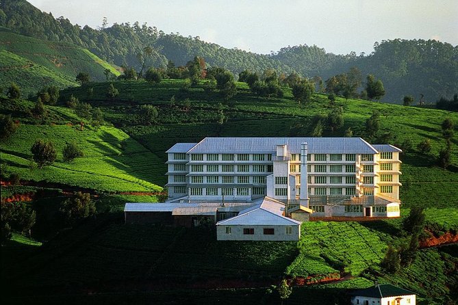 6 Day Round Tour in Sri Lanka With Chauffeur - What the vehicle and chauffeur add
