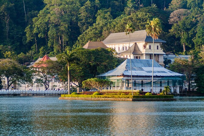 6 Days Private Vehicle with English Speaking Chauffeur - Day 1: Kandy’s sacred temple and hilltop views