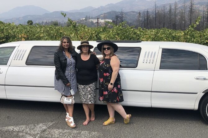 6-Hour Private Limousine Tour to Napa and Sonoma Valley Wineries - Who should book this private wine day