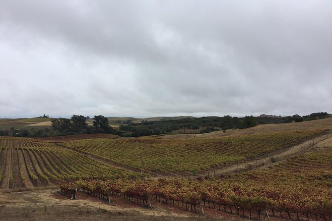 6-Hour Private Limousine Wine Country Tour of Napa or Sonoma - Choosing between Napa and Sonoma