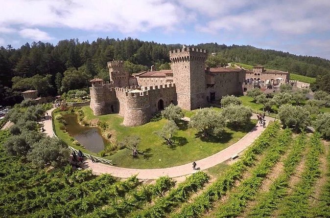 6-hour Private Luxury SUV Wine Tour in Napa Or Sonoma Valley - Who will enjoy this most