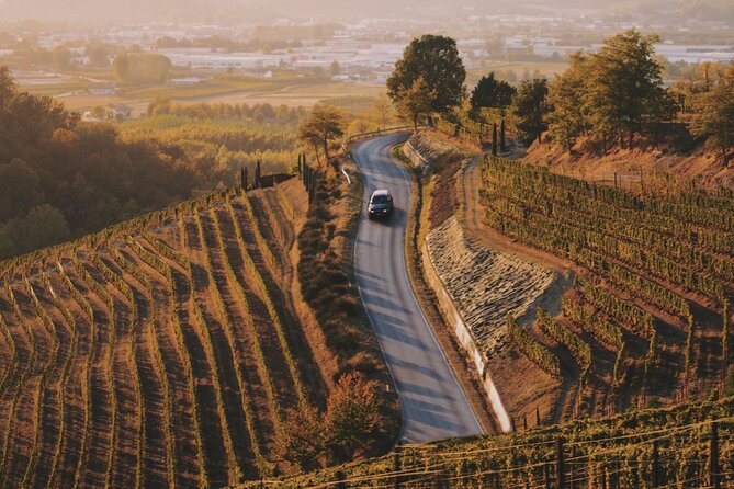 6-hour Private Luxury SUV Wine Tour in Napa Or Sonoma Valley - What six hours really gives you