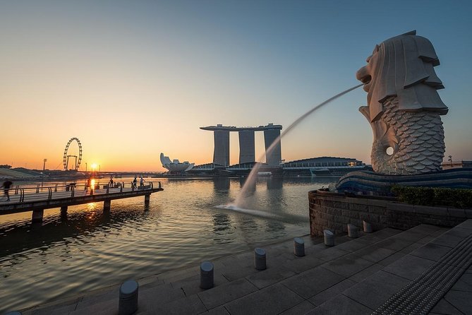 6 Hours - Singapore Tour in Private Car or Minibus with Driver - Why a private car works well in Singapore