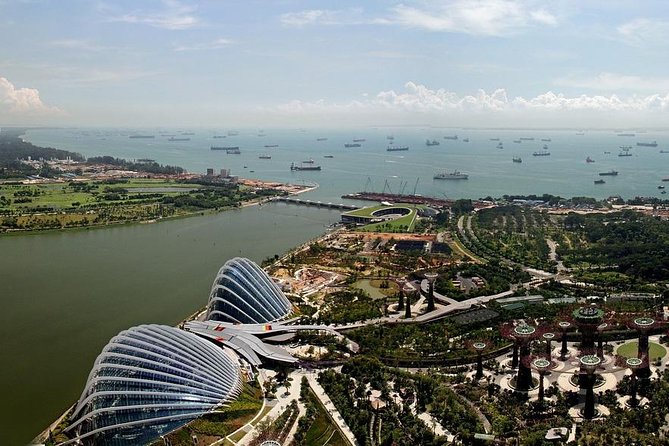 6 Hours - Singapore Tour in Private Car or Minibus with Driver - The difference between a driver and a guide