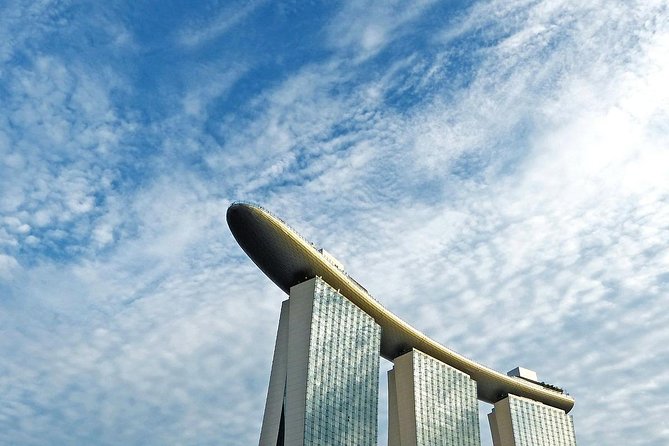 6 Hours - Singapore Tour in Private Car or Minibus with Driver - Raffles City and China Square