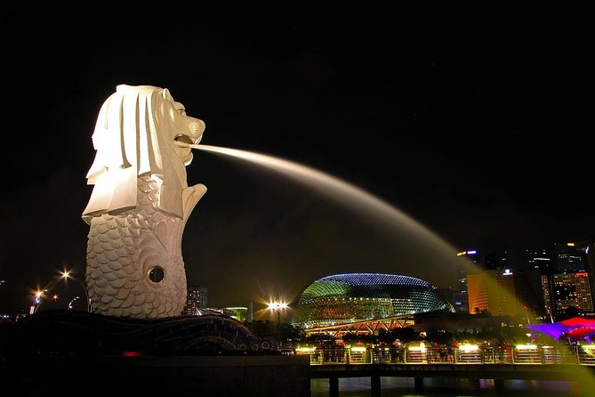6 Hours - Singapore Tour in Private Car or Minibus with Driver - Marina Bay and Gardens by the Bay