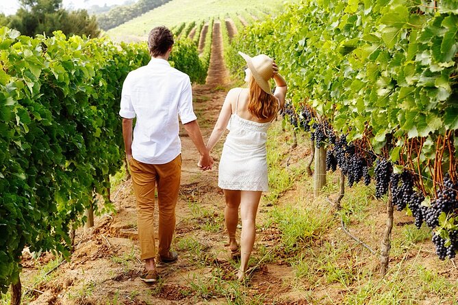 6hr | 12 Passenger Mercedes Limo Sprinter Bus - A private Napa day built around your group