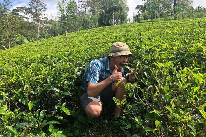 7 Days Sri Lanka Tour Chauffeur Wildlife and Heritage Adventure - Day four: Horton Plains and the Nanu Oya train