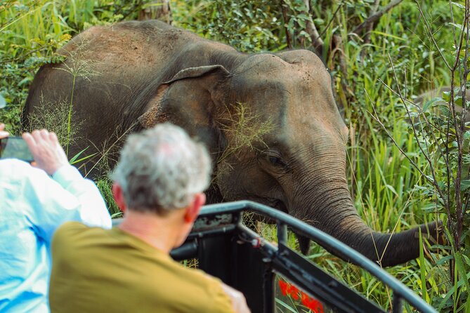 8 Day Private Sri Lanka Tour with Chauffeur - Day 1: A gentle arrival at Marawila