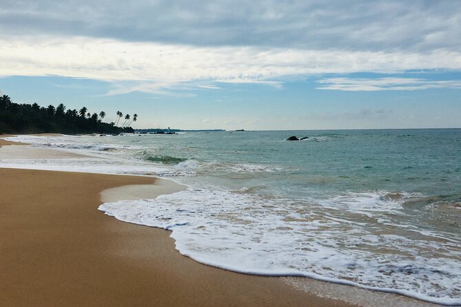 8 Day Private Sri Lanka Tour with Chauffeur - Day 7: Turtles, Colombo, and Gangaramaya Temple