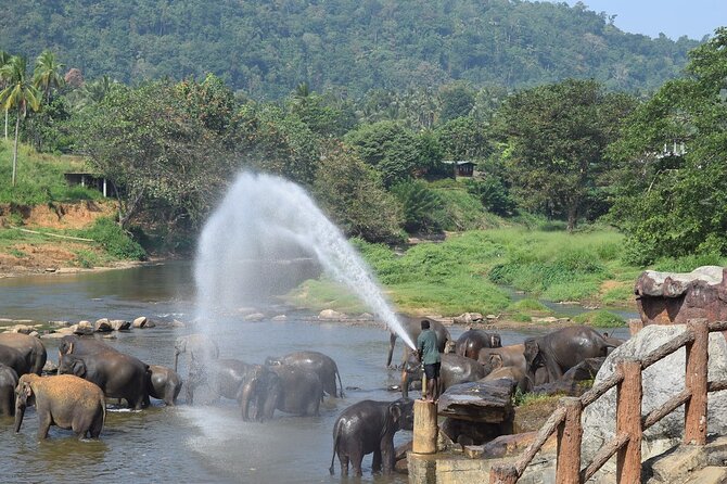 8 Days Adventure Tour with Chauffeur and Air-condition Vehicle - Day 5: Ella’s bridges, waterfalls, and a coastal transfer