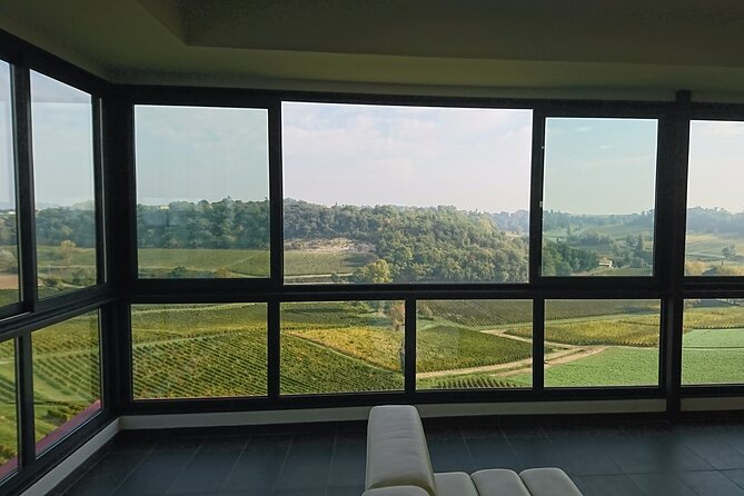 A day in Saint-Emilion in a small group (Electric Luxury Van) - From Bordeaux to the Saint-Émilion vineyards