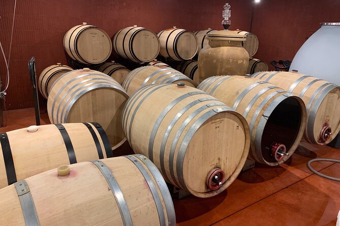 A day in Saint-Emilion in a small group (Electric Luxury Van) - Saint-Émilion village, where stone and vines meet