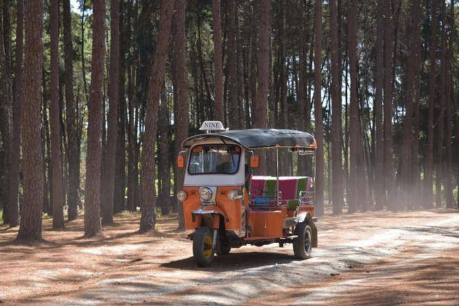 A stunning 11 Day Tuk Tuk Adventure in Northern Thailand - with driver - Doi Inthanon and a night in Ban Mae Klang Luang