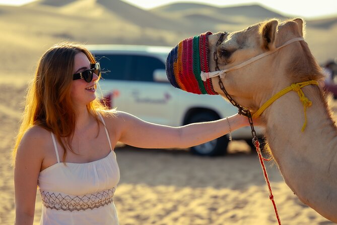 Abu Dhabi Evening Desert Safari - Private car Dune bashing & BBQ - BBQ dinner and stage entertainment