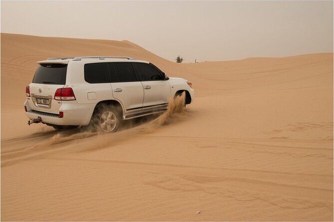 Abu Dhabi morning desert safari - Private car - The private car changes the morning