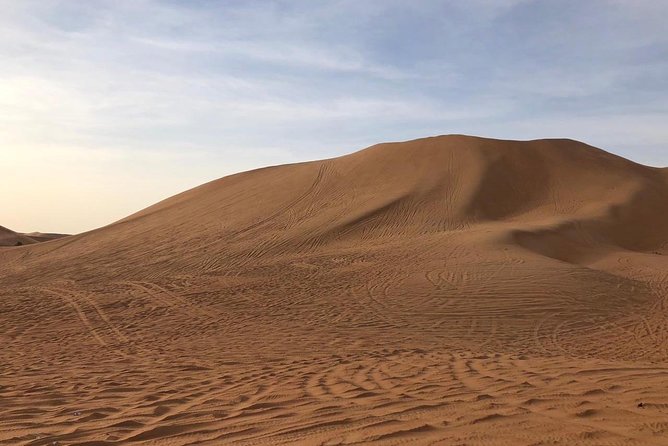 Abu Dhabi morning desert safari - Private car - Photo stops, camels, and small surprises