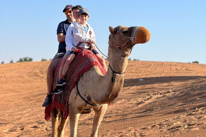 Abu Dhabi morning desert safari - Private car - Dune bashing at Al Khatim